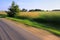 Road and tree with motion blur