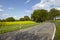 Road with trees and a blossoming, yellow colza field