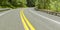 Road with trees on both sides in Washington