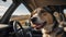 Road Trip Bliss: Dog Enjoying the Journey