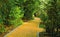 Road in a tropical hotel