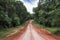 Road in the tropical rainforest in Australia 3797