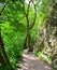 Road through Turda pass