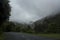 Road turn with a scenic nature landscape with fog and stormy sky