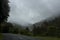 Road turn with a scenic nature landscape surronding on a rainy day