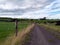 A road between two farm fields in Ireland in summer. A herd of cows grazing on a green farm pasture. Rustic landscape, cloudy sky