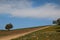 Road up the hill between fields, Morocco