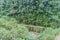 Road in a valley of Coroico river