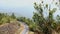 Road view on doi inthanon mountain , chiangmai Thailand