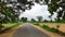 A road view in Laumunda village of odisha