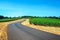 Road through a Vineyard