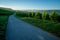 Road in a vineyard agriculture