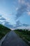 Road in vineyard with clouds in dawn sky