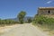 Road in vineyard, Provence. France.