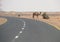 The road between Wadi Halfa and Khartoum.