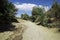 The road in Wadi Sara in mountains, Yemen