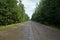 road washed out after rain between the forest