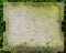 Road water Sewer cement cover with moss