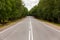 Road with white markings and green trees on the side of the road. View from the middle of the highway