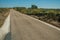 Road through wild landscape of green undergrowth