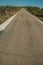 Road through wild landscape of green undergrowth