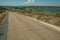 Road through wild landscape and river on the horizon