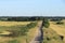 Road through wild village field at sunset and family walking to pine forest. Russian landscape in summer in July, walking outdoors