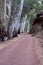 Road into Wilpena Pound from resort, SA, Australia