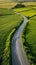 Road winds through green fields