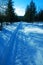 Road in winter forest covered with deep snow