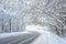 Road in winter forest. Scenic view of tunnel with snowy trees. Turn of road in woods after snowfall