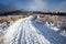 Road through winter landscape