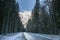 Road through winter mountain forest