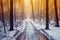 Road in a winter pine forest during the thaw