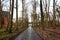 Road in wood to the castle somewhere in Netherlands