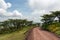 Road through the wooded hills in Ngorongoro Crater