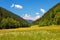 Road with a wooden fence in a field with yellow flowers. The nice view to the landscape of high mountains in the sunny day.