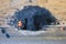 A road worker shovels a large pile of hot asphalt, top view - Moscow, Russia, may 21, 2020