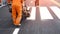 road workers team painting pedestrian crosswalk on asphalt road