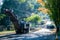 Road works and resurfacing in progress along Yarra Road West Pymble