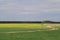 The road through the yellow-green field against a dark blue sky leads into the distance