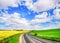 Road between yellow rapeseed and green grass fields, a few farm brick houses  against stunning amazing cloudy blue sky in So