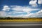 Road through the yellow sunflower field