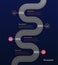 Roadmap with winding road and stop signs on stages on dark blue background. Vertical infographic timeline template for business