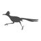 Roadrunner logo icon design