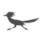 Roadrunner logo icon design