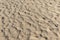 Roadrunner tracks in sand. Death Valley, California.