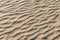 Roadrunner tracks in sand. Death Valley, California.