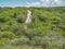 Roads around Christoffel National Park Curacao Views