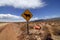 Roads in the national park El Leoncito in Argentina